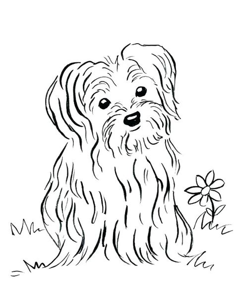 Yorkie coloring pages color a puppy puppy coloring pages dog. Maltese Coloring Pages Coloring Pages