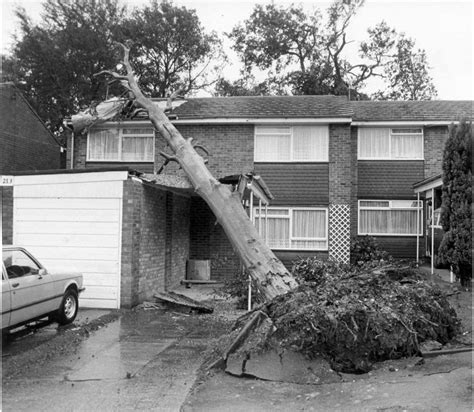 Pictures Of The 1987 Great Storm In Kent