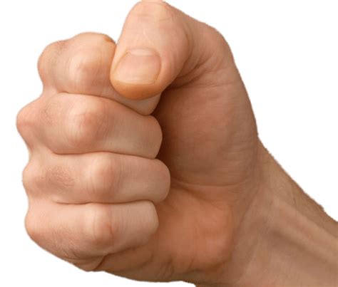 Clenched Fist Male Hand Transparent Png Stickpng