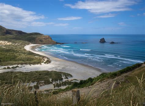Sandfly Bay On The Otago Peninsula New Zealand Named For Flickr