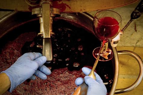 Winemaking The Art Of Blending Grapes To Make Great Wine And Why