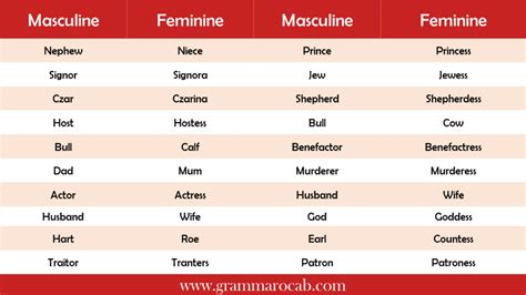 List Of Masculine And Feminine Gender Definition Rules Grammarvocab