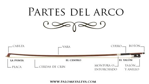 Partes Del Arco De Violín Paloma Valeva