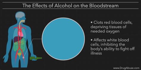 How Alcohol Affects The Human Body Perfectly Described In This Video