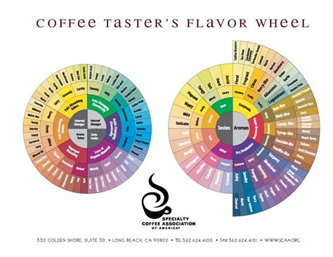 Scaa Poster Coffee Tasters Flavor Wheel Kaffeno