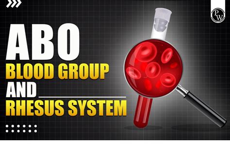 ABO Blood Group And Rhesus System