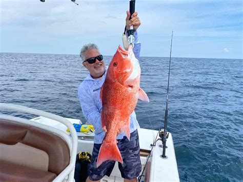 Stop The Madness Federal Regulations May Increase Red Snapper Limits