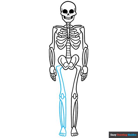 How To Draw A Skeleton Really Easy Drawing Tutorial