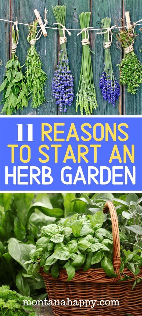 We did not find results for: 11 Reasons to Start an Herb Garden in 2020 | Small herb ...