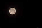 Vollmondnächte eignen sich bestens für spannende Fotos vom Mond