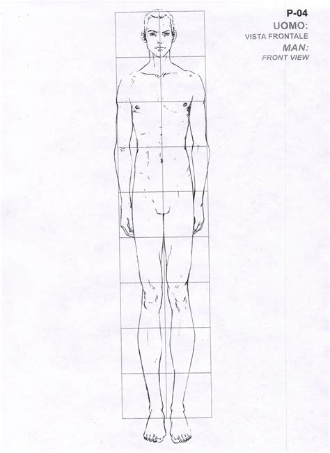 9 Head Male Figure Fashion Model Drawing Fashion Figure Drawing