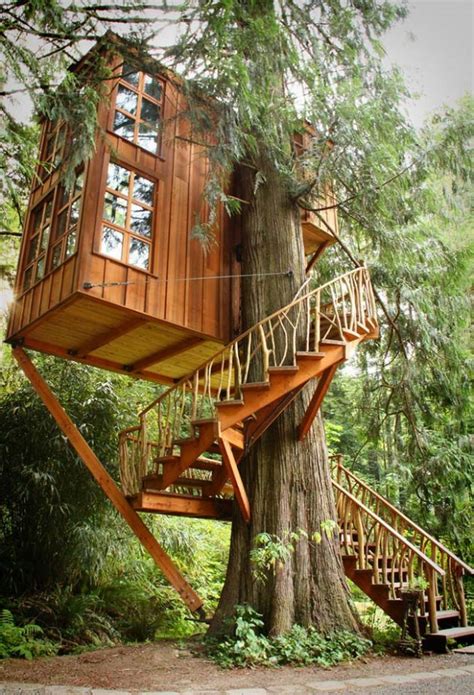 Here Are The Most Amazing Tree House Ideas That You Can Use As
