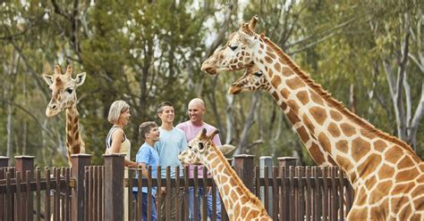 Zoos And Wildlife NSW - Plan a Holiday - Animal Experiences & Wildlife