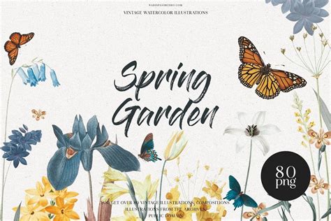 Spring Garden Vintage Collections — Artcoast Studio