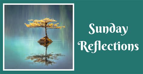 Sunday Reflections Learn And Grow St John The Divine Anglican Church