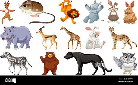 Set Of Different Wild Animals Cartoon Characters Illustration Stock