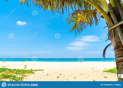 beautiful tropical beach and sea with coconut palm tree in paradise island stock image image