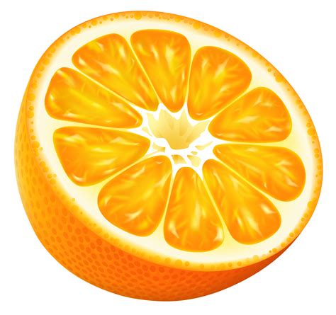 Hd Art Orange Clipart Fruit Drawing  Clipartix