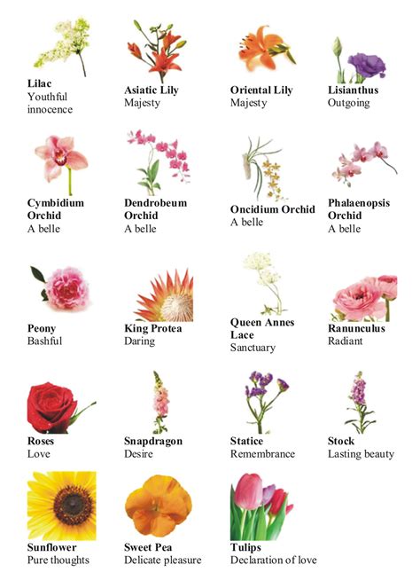 different types of flowers | Different types of flowers, Flower meanings, Types of flowers