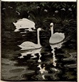 Otto Eckmann (German, 1865-1902). Swans. | Animal paintings, Woodcut ...