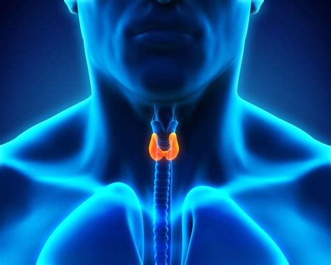 Thyroid Cancer Symptoms Diagnosis And Treatment Live Science