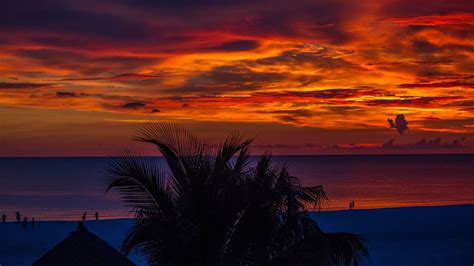 2048x1152 Sunset Palm Trees Ocean Beautiful View 4k