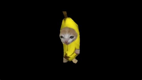 Banana Cat Gif Icegif
