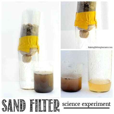 Learn All About Water Filtration And How Nature Naturally Filters Water