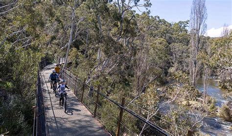 Thredbo Valley Track Easy Rides Nsw National Parks