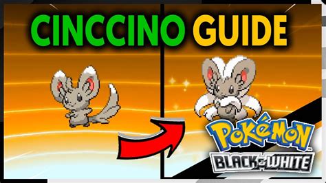 How To Evolve Minccino Into Cinccino On Pokemon Black And White Youtube