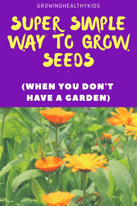 Super Simple Way To Grow Seeds When You Have No Garden Make Seed Bombs