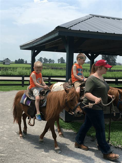 Pony Rides Kentucky Horse Park The Shirley Journey
