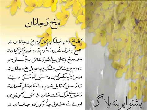 Poetry Sms On Very Nice Picture Background Editingmakh Da Janan Gazzal