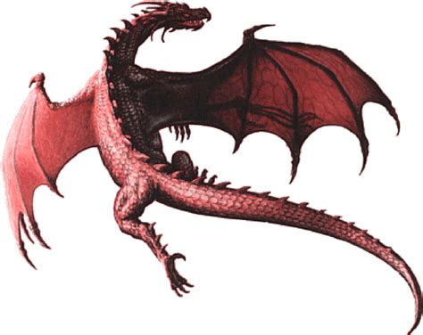 Harry Potter Dragons Dragon Png Photos Png Mart