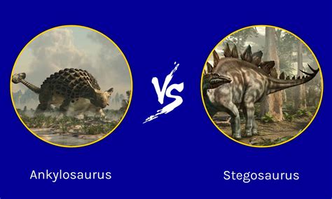 Ankylosaurus Vs Stegosaurus What Are The Differences Imp World