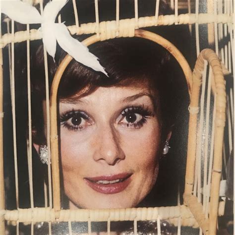Audrey Hepburn Wearing Her Rattan Bird Cage At Marie Helene De