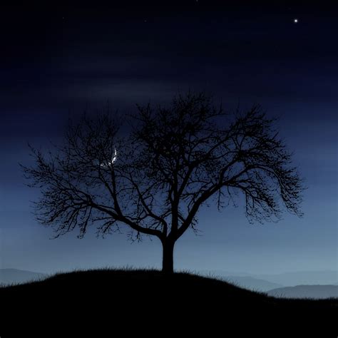 Tree Night Lonely Silhouette Stars Moon Fog Ipad Air Wallpapers Free