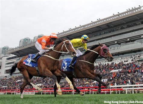 Recognised as hong kong's national sport, hong kong horse racing is as popular now as it has ever been, and the history of horse racing showcased throughout the country goes back hundreds of years. Hong Kong Jockey Club Officials Growing Frustrated With ...