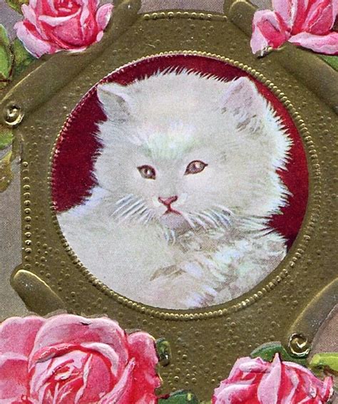 White Cat With Pink Roses 1907 Piccb0x Free Download Borrow And