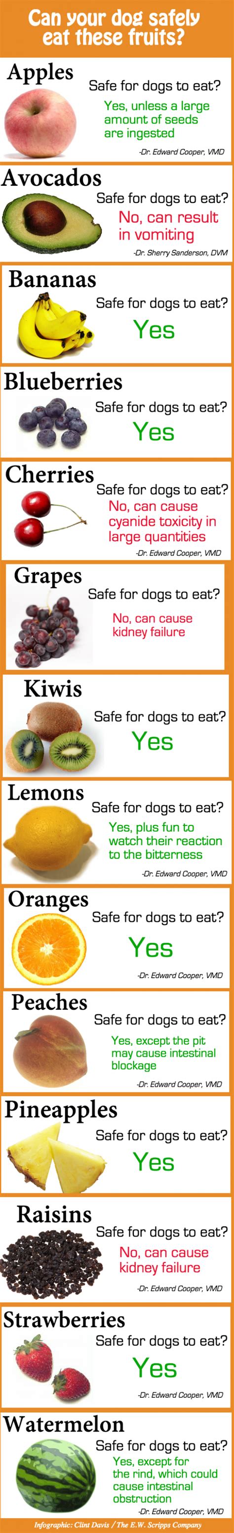 Maybe you would like to learn more about one of these? Which fruits can a dog eat?