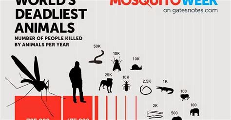 Terriermans Daily Dose Worlds Deadliest Animals To Humans