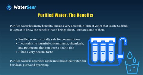 Spring Water Vs Purified Water Know The Differences