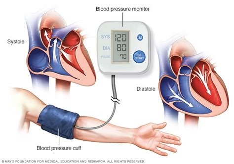 A blood pressure test is simple, painless, and how do you measure it? Tips to control high blood pressure News - News Express ...
