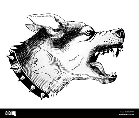 Angry Dog Stock Photo Royalty Free Image 137006624 Alamy