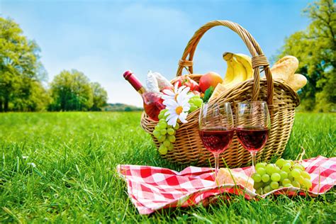 July Is National Picnic Month Uk Packaging Blog