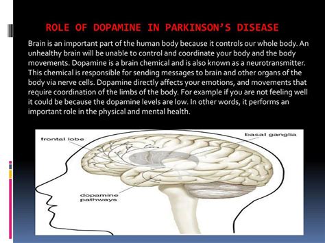 Ppt Role Of Dopamine In Parkinsonâ€™s Disease Powerpoint Presentation