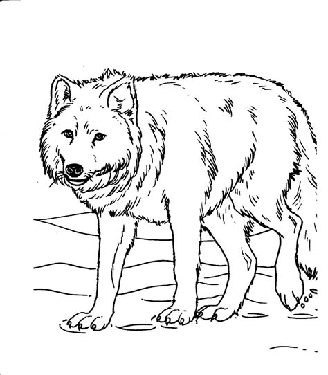 Cool wolf coloring pages ideas. Minecraft Dog Drawing at GetDrawings | Free download