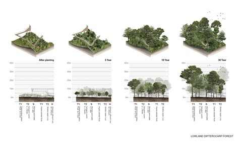 The Metro Forest Project Bangkok Urban Reforestation Landscape