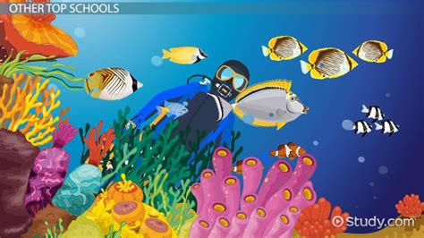 Best Marine Science And Marine Biology Programs List Of