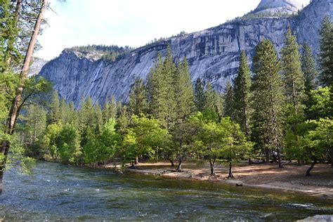 North Pines Campground Reviews Yosemite National Park Ca Tripadvisor